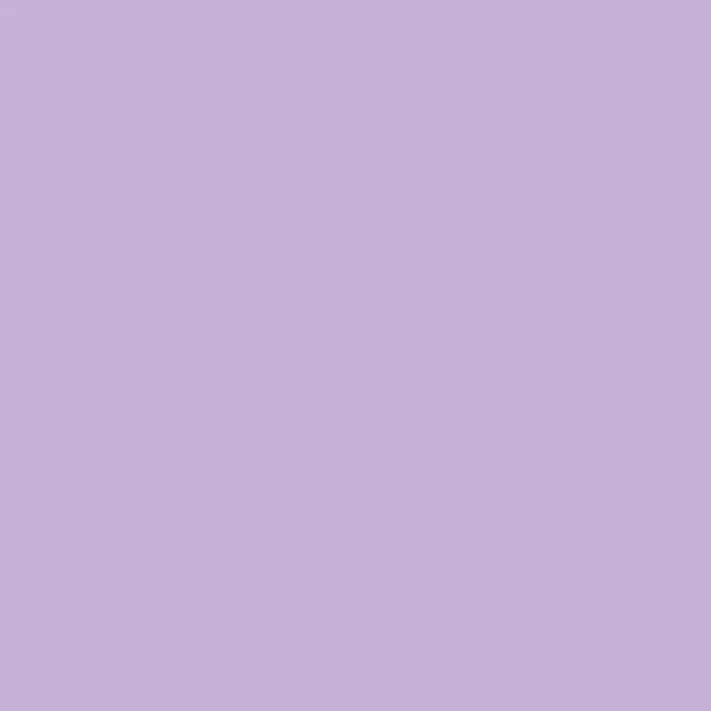 Side Fringe Maxi Tube Dress With its sleek and chic design this dress is perfect for both casual and formal settings Lavender Field