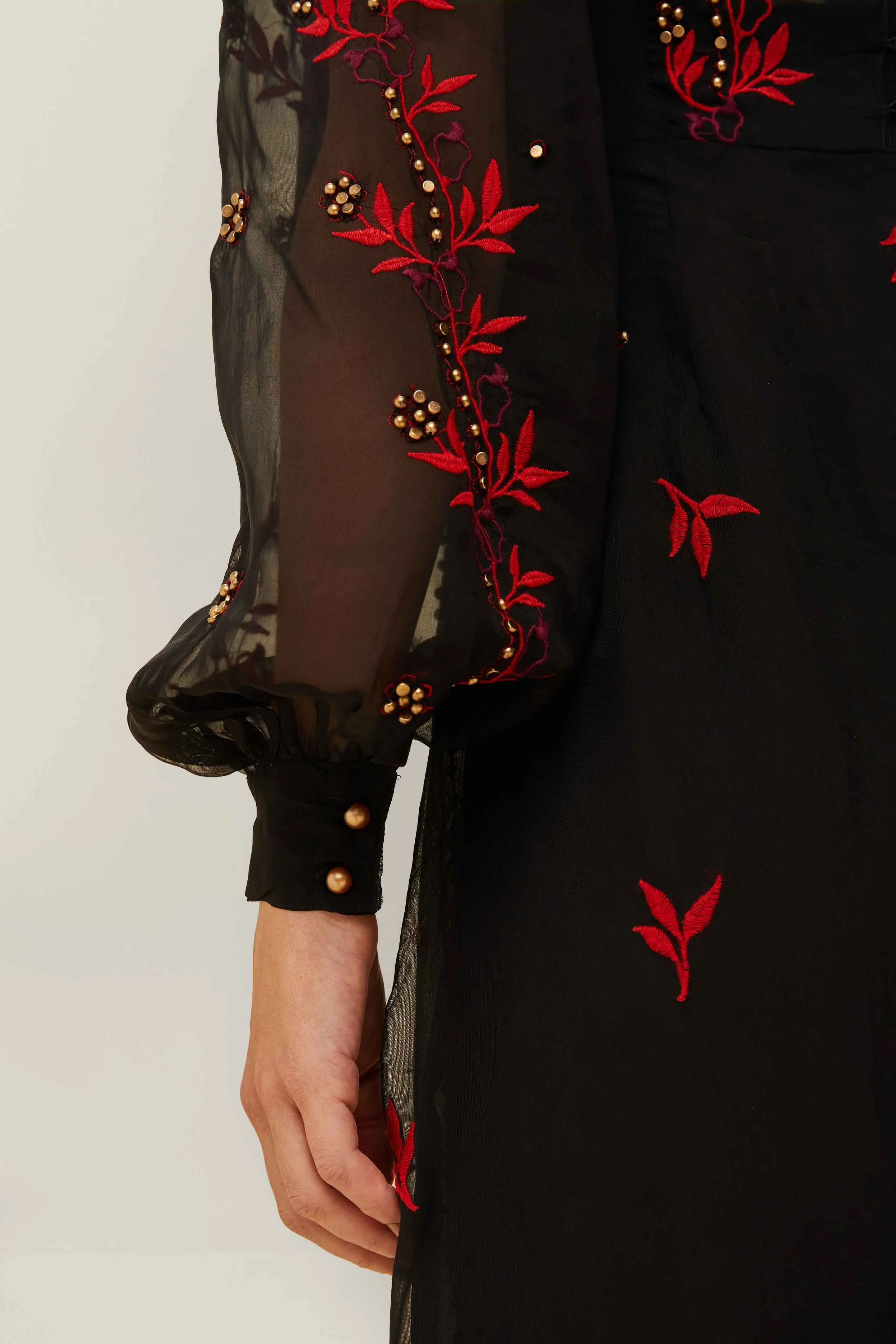 A-line midi dress Casual Wear Black Organza Long Sleeve Midi Dress