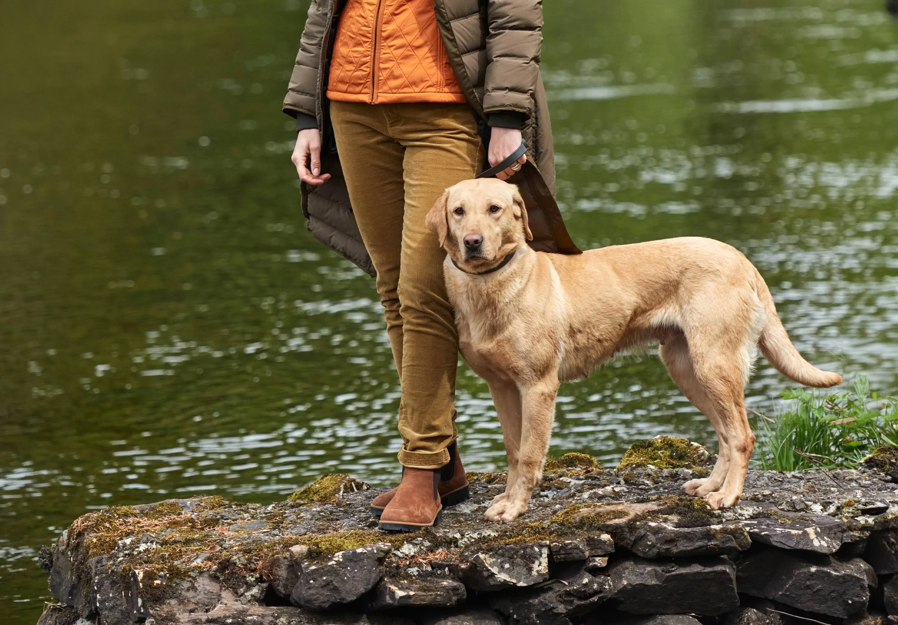 CompressionEnhanced Fit Honeysuckle Jeans - Harvest Gold