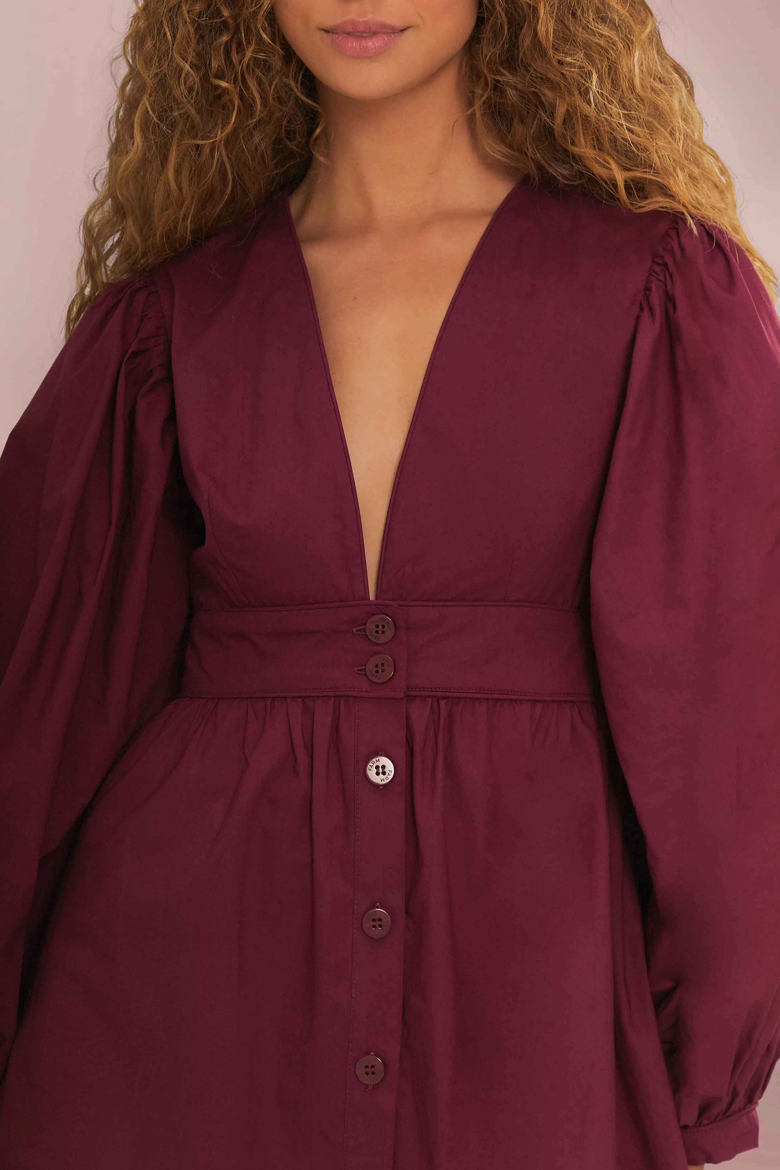 Chic Silhouette Burgundy Puff Sleeve Mini Dress