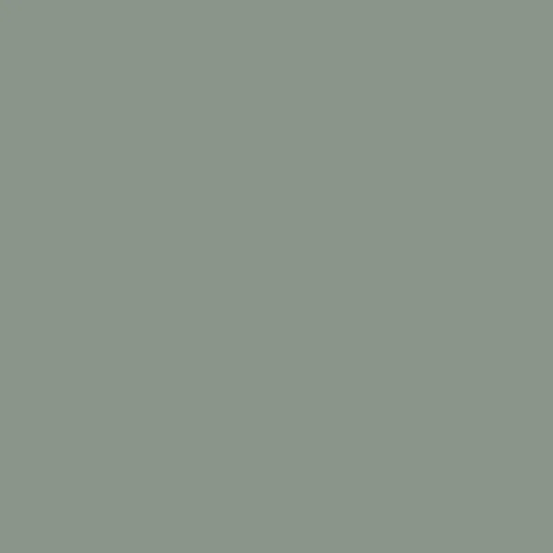 Layered Structure Refined Mood Contrast Waistband Cargo Pocket Skort