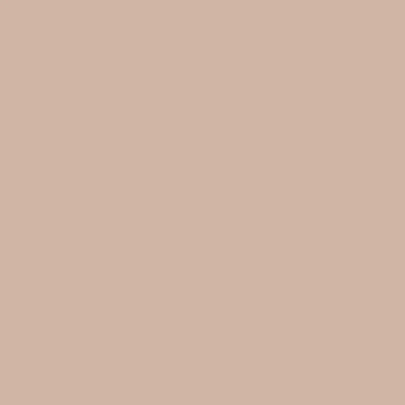 Brushed Rib Knit Skort Twist Knot Details