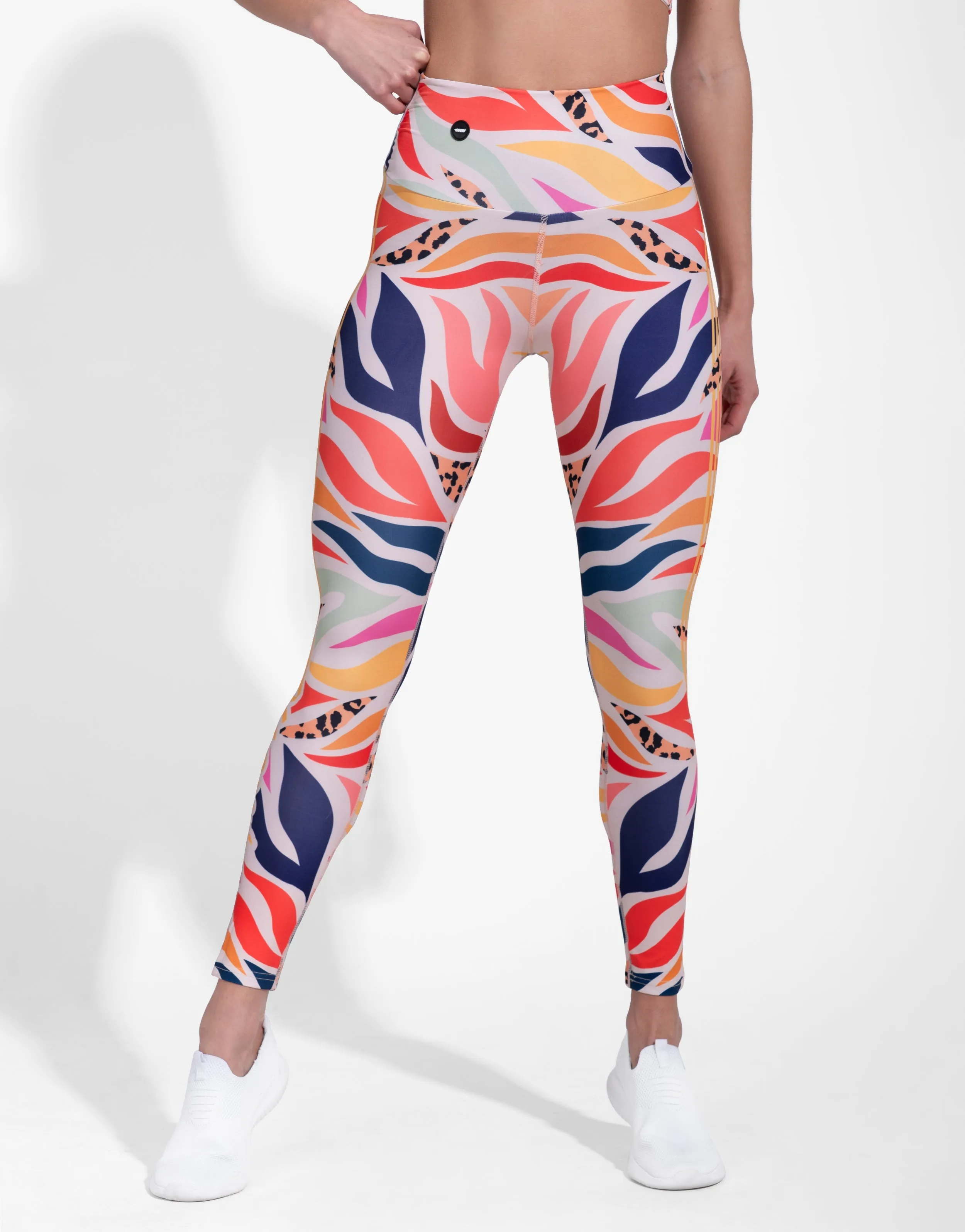 Classic Style PASTEL ZEBRA